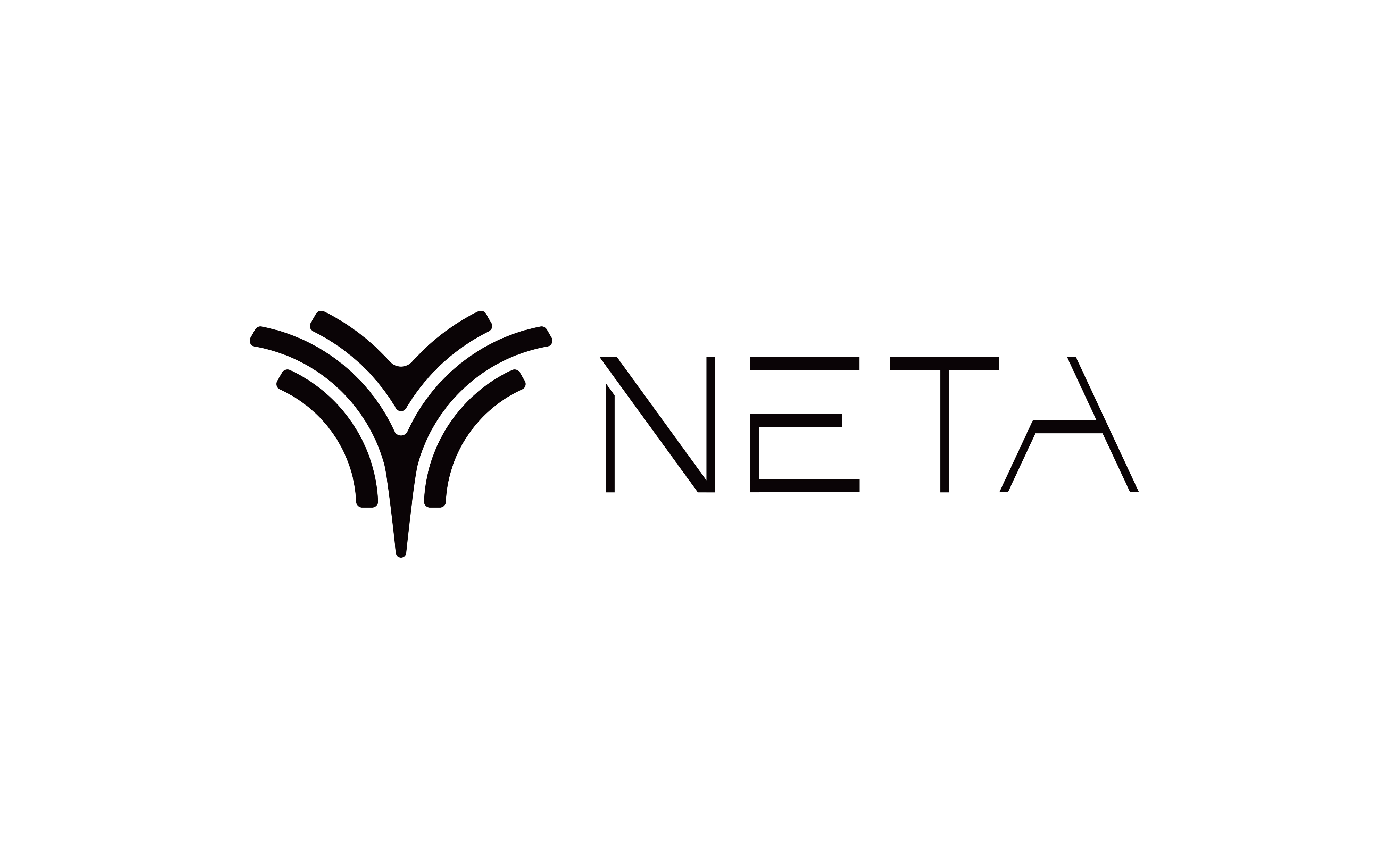 chinese-ev-maker-neta-s-chairman-warns-s-carlisting